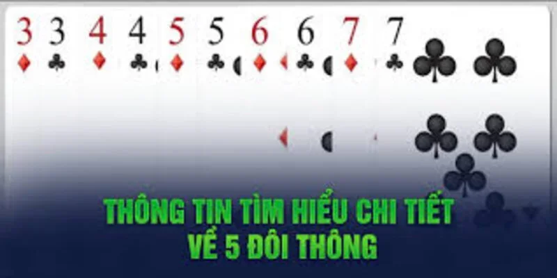 Thông tin chi tiết 5 đôi thông